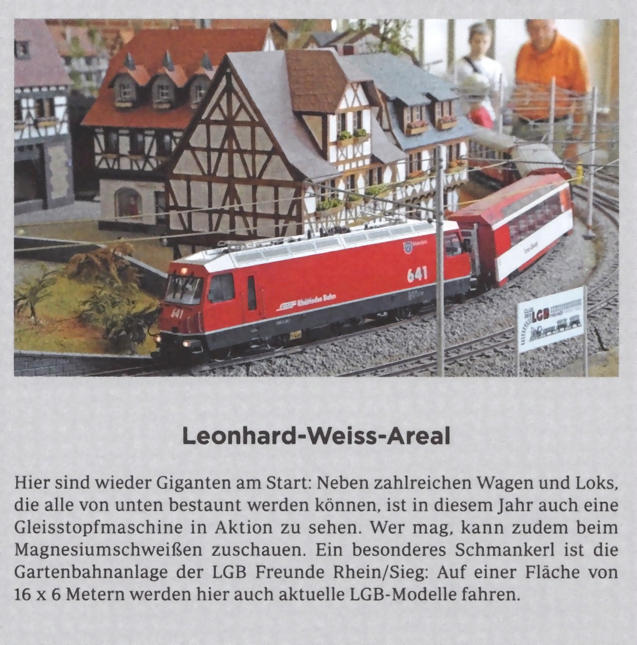Ausschnitt aus unserer Anlage Meckenheim - IMA und Märklintage 2013 vom 13.-15.09.2013 - Wir freuen uns auf zahlreiche Besucher